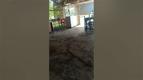 AUD 20210421 WA0000 LRC [03:18.27] .